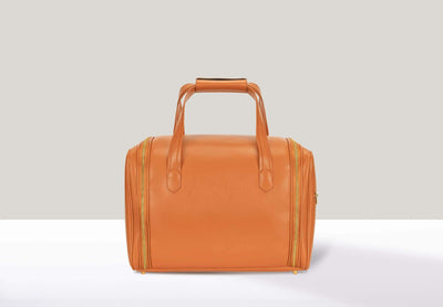 #color_luggage-brown